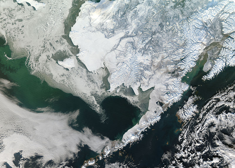 snow covered Alaska satellite image