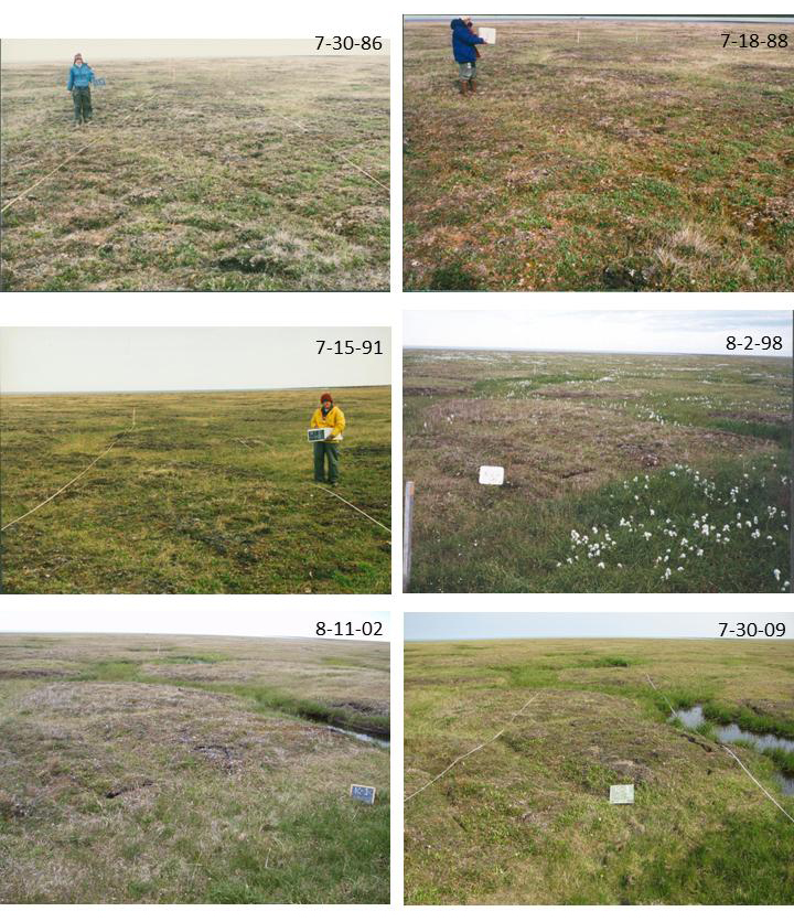 Permafrost thaw Arctic tundra sinking lower climate change