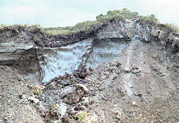 permafrost ice wedge