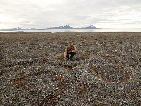 permafrost stone rings Svalbard Norway