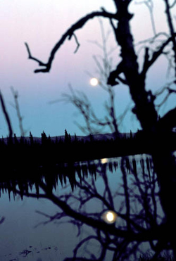 lake reflecting moon Selawik Refuge