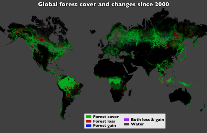 global deforestation 2000-2012 map