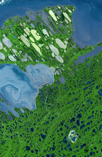 This image of Alaska's North Slope acquired August 15 2000 by NASA's Terra satellite shows a false color lake-dotted expanse of tundra, with the Beaufort Sea at the top and Lake Teshekpuk at the lower-left. The image covers an area of 36.5 by 55.8 miles [58.7 by 89.9 kilometers]. In 2006, the U.S. Department of the Interior approved oil and gas drilling on approximately 500,000 acres of land in and around Teshekpuk Lake. The Advanced Spaceborne Thermal Emission and Reflection Radiometer image centered near 70.4 degrees North latitude, 153 degrees West longitude shows vegetation as green and water as blue. / Image courtesy NASA/GSFC/METI/ERSDAC/JAROS, and U.S./Japan ASTER Science Team