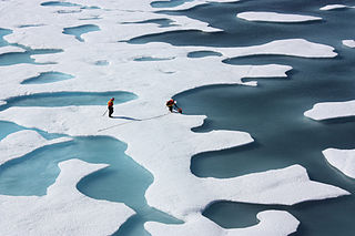 ICESCAPE melt ponds Arctic sea ice