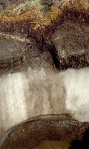 Permafrost ice wedge / Courtesy John A. Kelley, USDA Natural Resources Conservation Service
