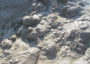 thermokarst mud