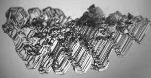 Magnified surface hoar crystals / Image Matt Sturm