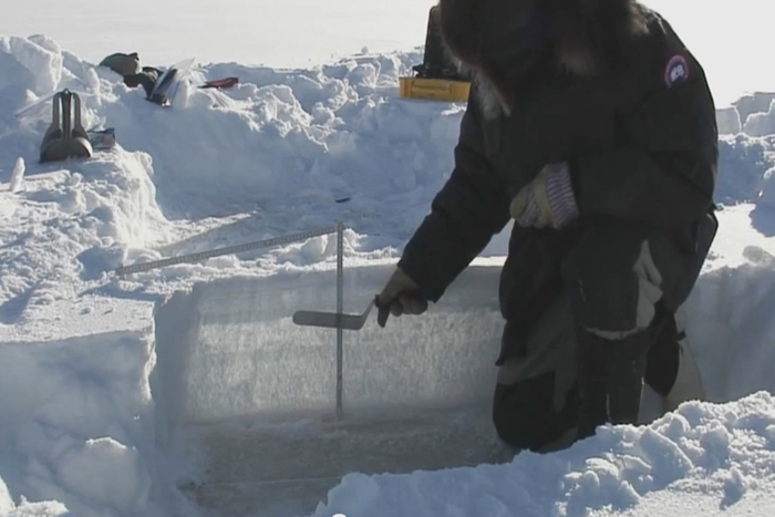 Layers of snow in a snow pit indicated by Glen Liston, geophysicist, Colorado State University / FrontierScientists footage 
