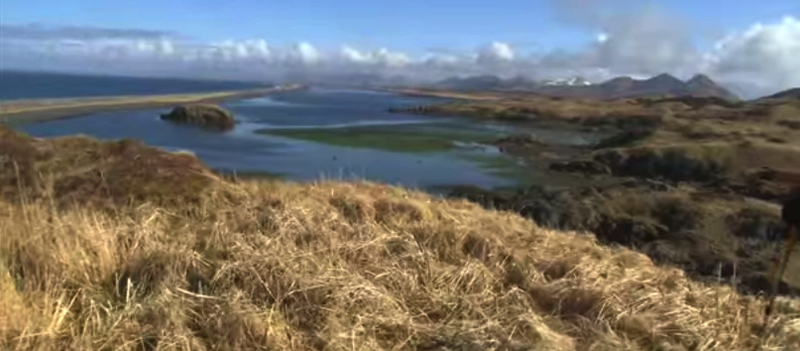 Kodiak Island grass bluff view bay