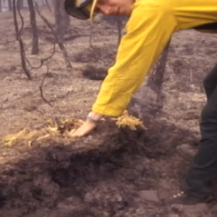 A thick layer of duff or organic debris / Courtesy AlaskaDNRDOF and BLM Alaska Fire Service
