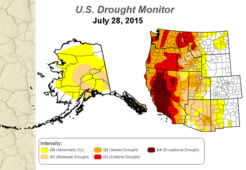 The US Drought Monitor for July 28 2015 / Courtesy the National Drought Mitigation Center (NDMC) in association with NOAA and the USDA