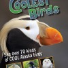 Alaska's Coolest Birds DVD