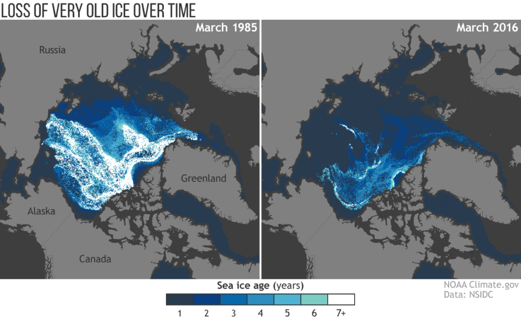 Arctic Report Card 2016 / NOAA