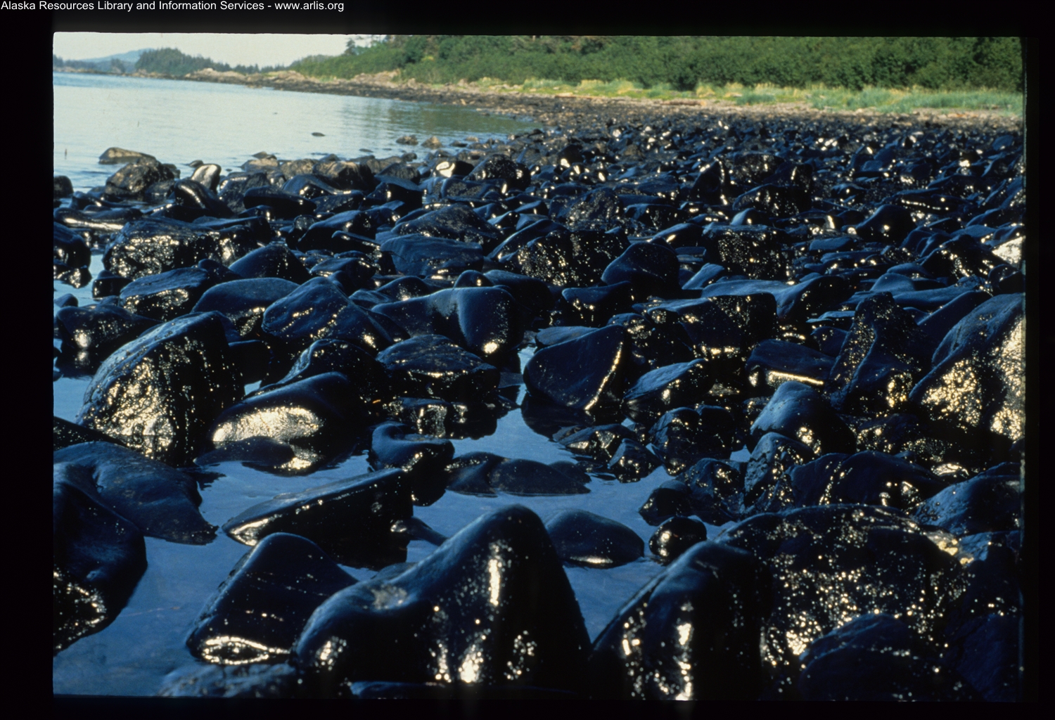 Аварии с загрязнением окружающей среды. Экссон Вальдес 1989. Разлив нефти Exxon Valdez. Крушение танкера Exxon Valdez. Авария танкера Эксон Валдез.