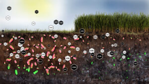 animation of microbes and release of CO2 and Methane
