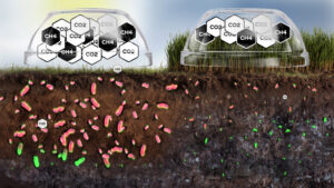 An above and below ground view of domes trapping CO2 and Methane and microbes active in soil.